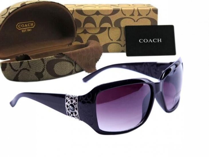 Coach Sunglasses 8004